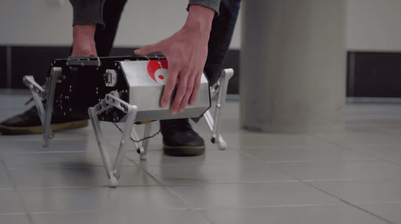 Il robot Doggo in azione. Credits: www.theverge.com