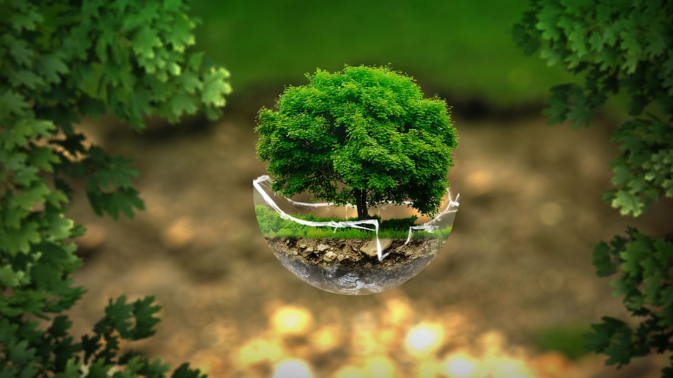 Inquinamento atmosferico, plastiche, riscaldamento globale: quali sono i temi ambientali più caldi da affrontare