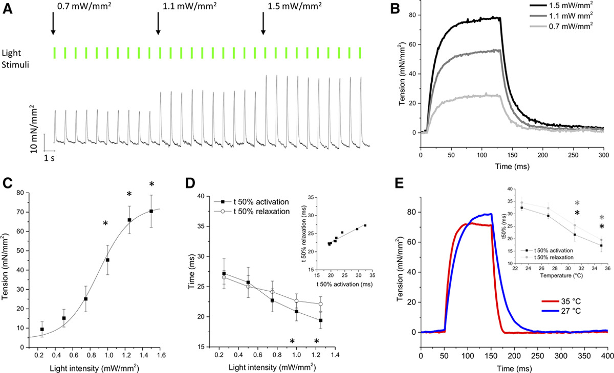 Prestazioni meccaniche di elastomero cristallino liquido (LCE) modulate dallo stimolo del LED in ambiente acquatico. Ph:.ahajournals.org