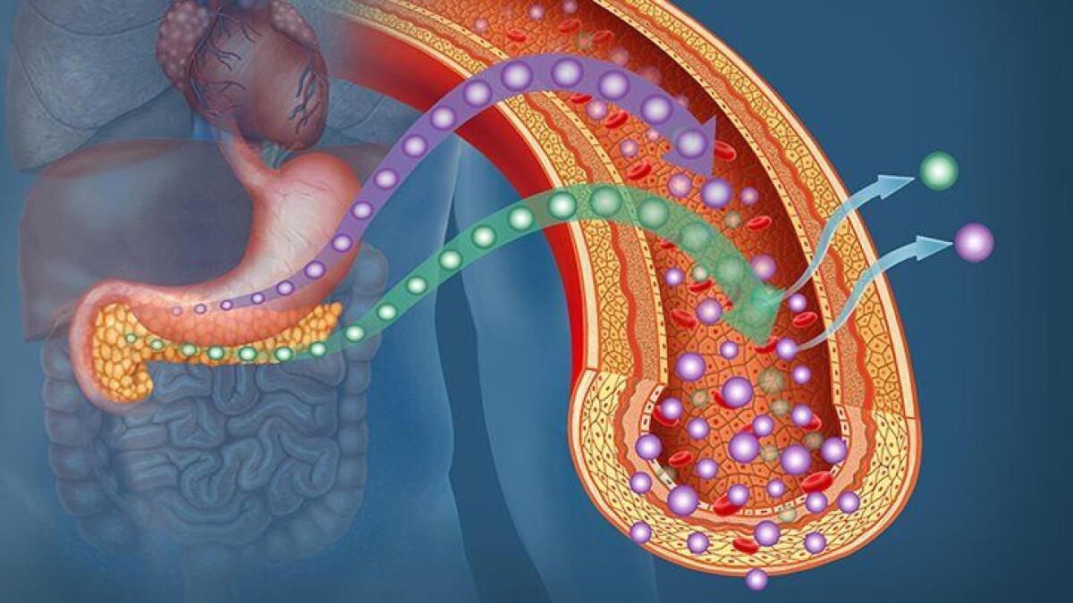 Nuova cura per il diabete grazie alla neurostimolazione del pancreas - PH:everydayhealth.com