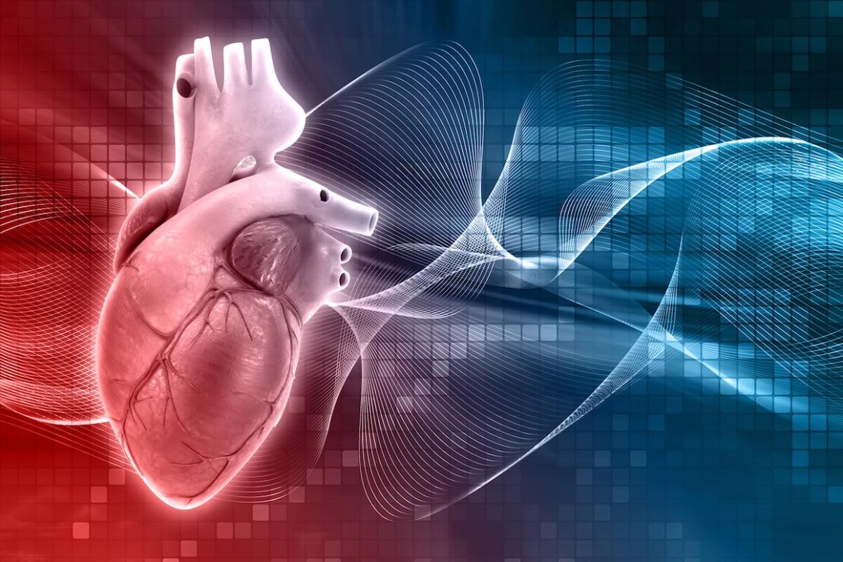 LION-HEARTED: il progetto europeo per ripristinare la funzionalità del cuore - Ph:  conferre.gr
