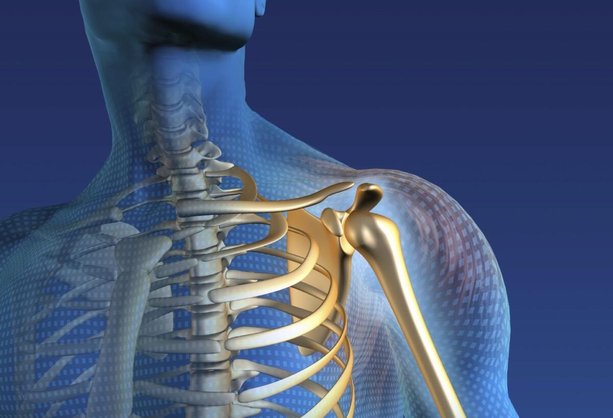 Protesi spalla: il GPS è la nuova frontiera per il posizionamento - Inserimento protesi spalla con GPS
credits: virginiaorthopaedicspecialists.com