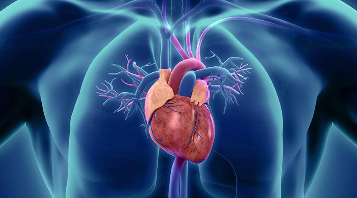 V-LAP: il microchip per il monitoraggio cardiaco arriva anche in Italia - V-LAP: il microchip per il monitoraggio cardiaco arriva anche in Italia
Credits: Healthy Driven Chicago