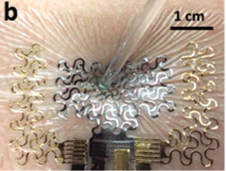 Simulazione funzionamento piezoelettrico PVDF del tatuaggio EMAC