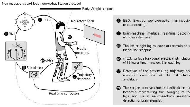 Protocollo di neuroriabilitazione non invasivaCredits: Walk Again Project - Associação Alberto Santos Dumont para Apoio à Pesquisa