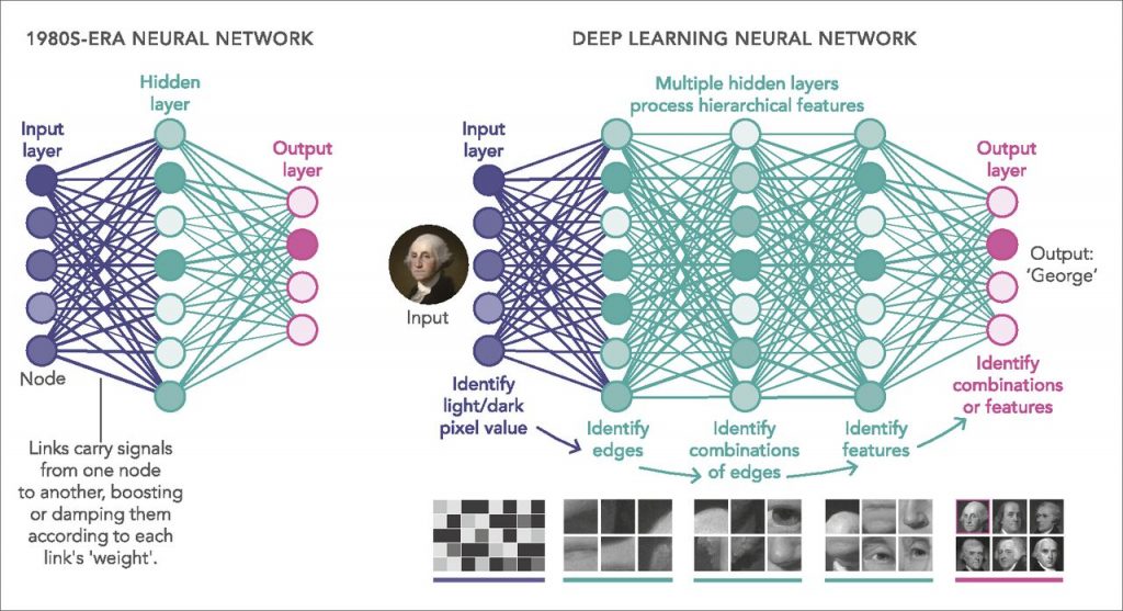 I segnali passano da nodo a nodo lungo i collegamenti, analoghi alle giunzioni sinaptiche tra i neuroni. Credit: pnas.org