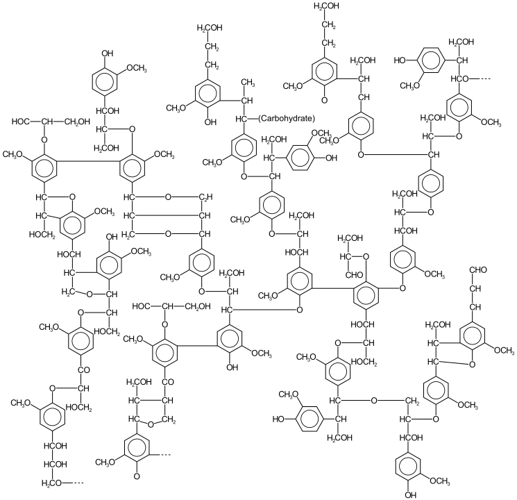 Bioraffineria, biocombustibili, lignina, cellulosa, emicellulosa, enzima, steam, explosion, platform, chemical, DOE, bioplastiche, biomassa, lignocellulosica, Energy Close-up Engineering