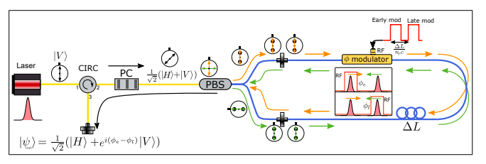 Rappresentazione schematica del principio di funzionamento del POGNAC. Le fibre SM sono rappresentate in fibre gialle e PM in blu. Credit: arxiv.org