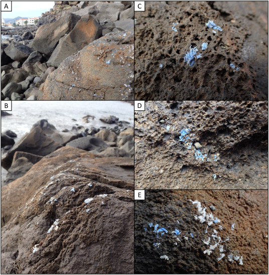 Inquinamento, mare, plastica, portogallo, madeira, madera, plasticrust, polietilene, buste di plastica, reti, pesca, rocce, isola, antropocene, plastigomerati, Gestoso Energy Close-up Engineering