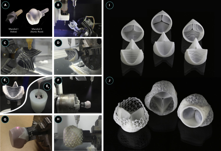 Credits: Bioinspired Heart Valve Prosthesis Made by Silicone Additive Manufacturing