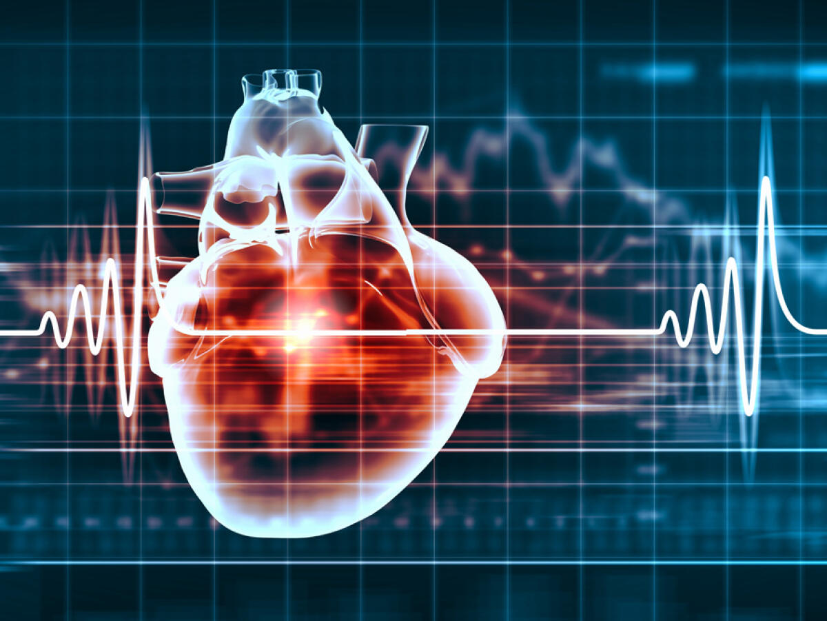OPTIMA: la mappa virtuale per salvare il cuore da fibrillazione atriale - 