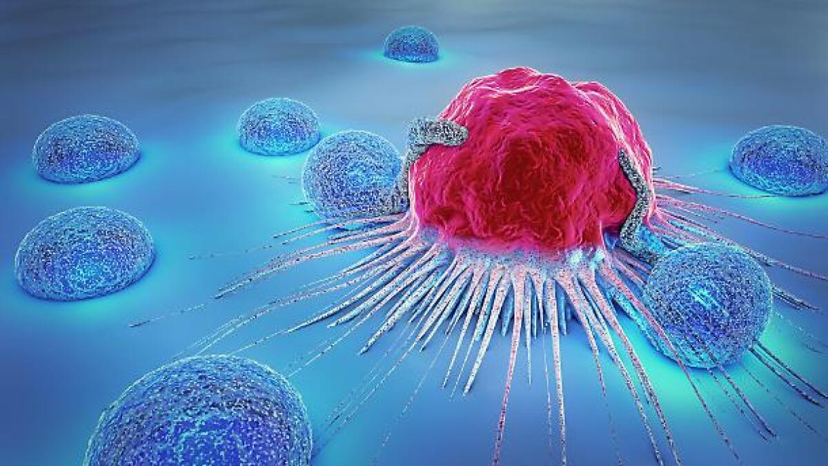 Chemioterapia: biosensori e AI per testarne l'efficacia - 