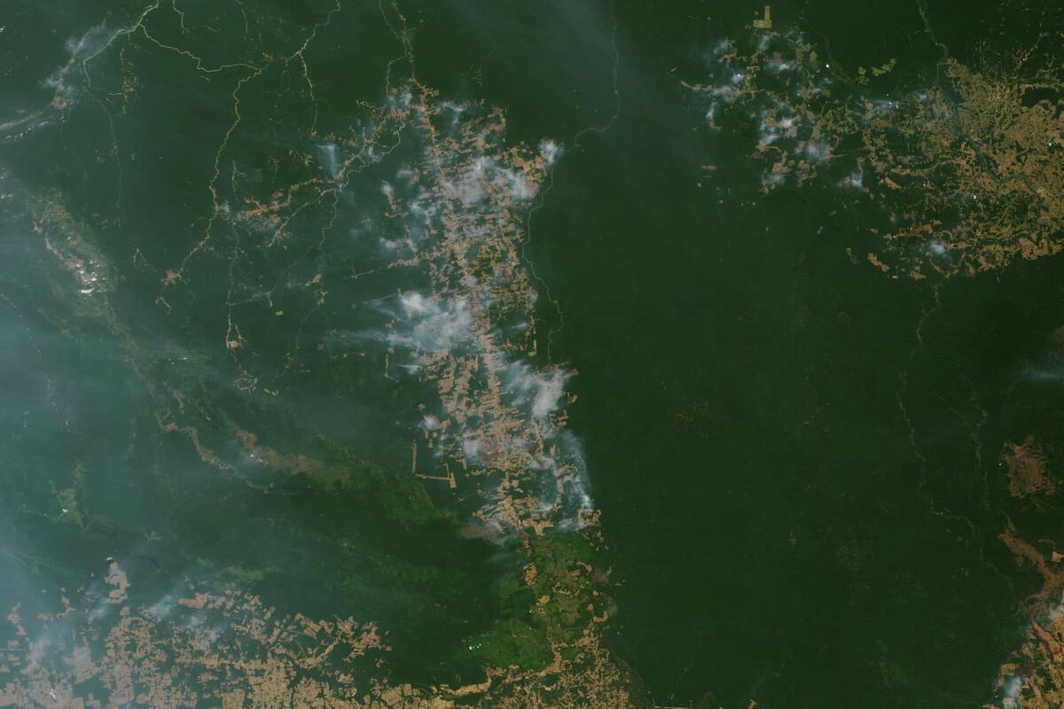 Incendio Foresta Amazzonica: analisi dei dati rilevati dalla NASA - 