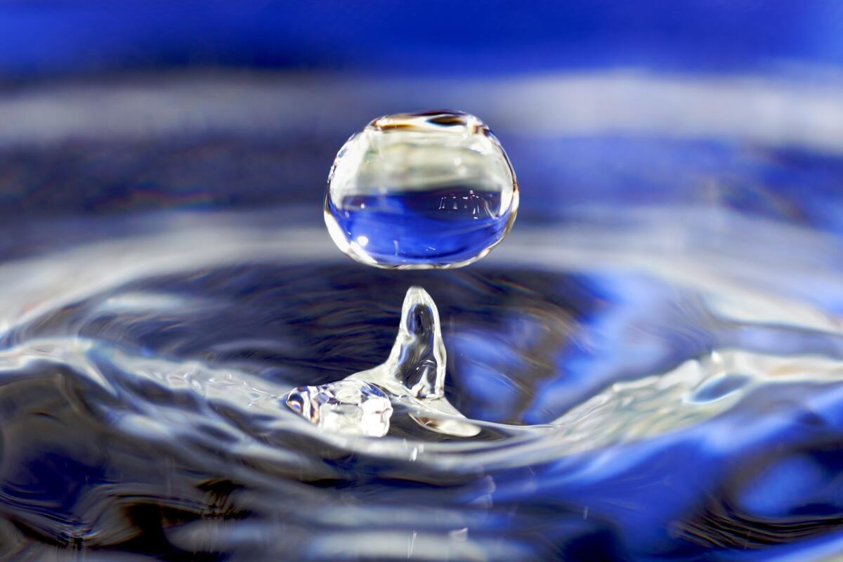 Fluidi intelligenti: definizione e applicazioni - Parte II - wikipedia.org
