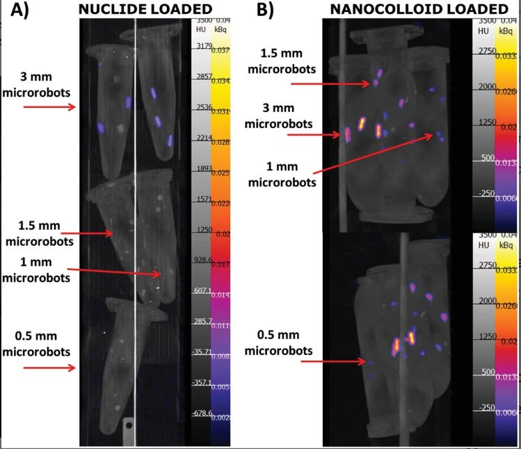 Figura 2. Imaging sperimentale tramite SPECT dei micro robot con diversi traccianti radioattivi nella matrice idrogelcredits: onlinelibrary-wiley-com