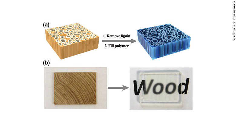 Legno trasparente, legno, efficienza energetica, green buildings, green architecture, innovazioni, edilizia, risparmio energetico, Energy Close-up Engineering