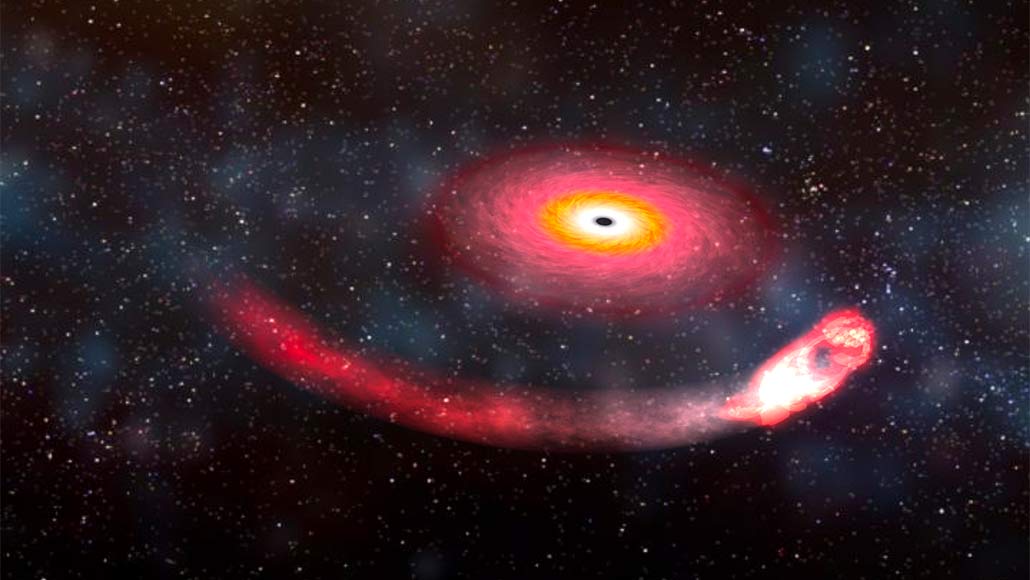 Illustrazione raffigurante corpo celeste durante l'assorbimeto da un buco nero. Credits: https://www.sciencenews.org