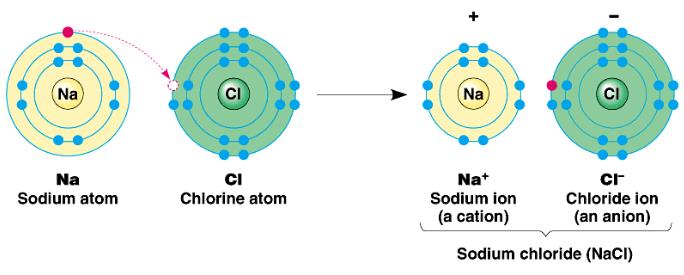 Esempio di interazione tra atomi.Crediti: https://aiutoperstudiare.altervista.org