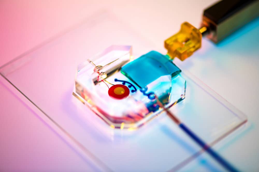 Il chip eye-on-a-chip del laboratorio di Huh attaccato a una palpebra motorizzata a base di gelatina. Il battito di ciglia diffonde lacrime sulla superficie corneale. Proprio questo è stato un aspetto critico da replicare nel modello per malattia dell'occ