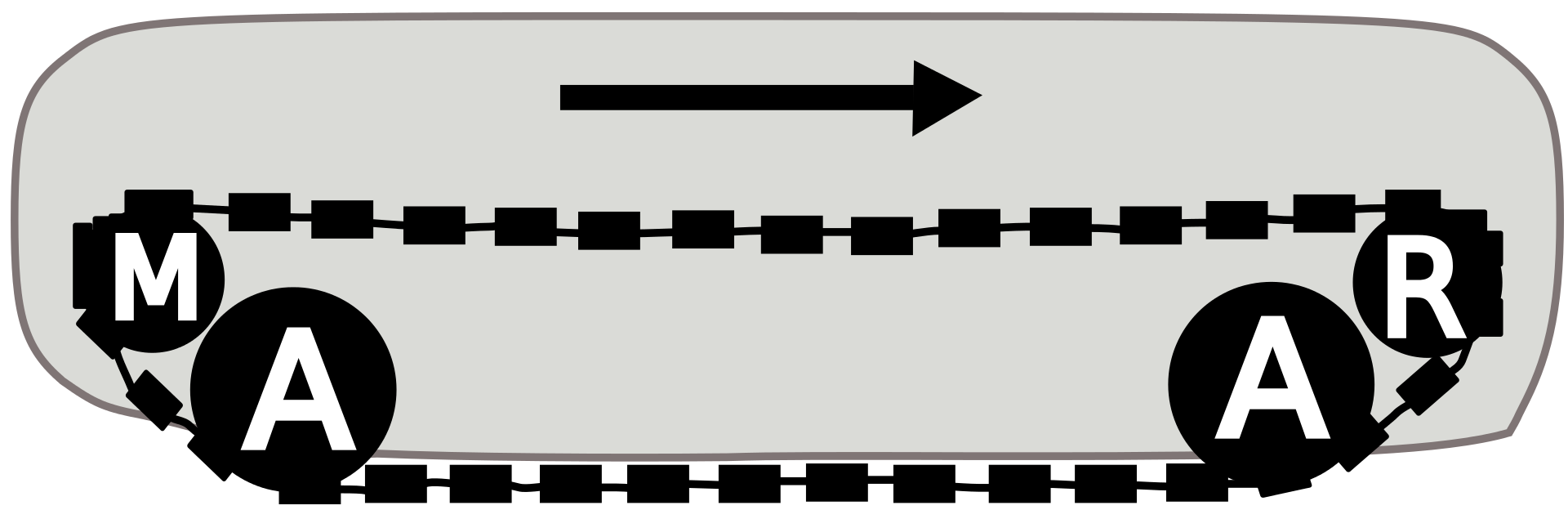 Principio di funzionamento del cingolo.PH: it.wikipedia.org