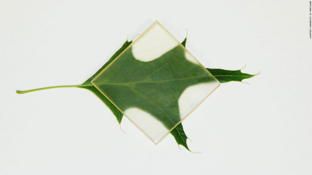 Legno trasparente, legno, efficienza energetica, green buildings, green architecture, innovazioni, edilizia, risparmio energetico, Energy Close-up Engineering