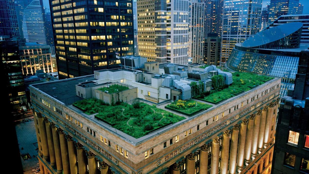 Il tetto giardino: tipologie, funzioni e vantaggi - 