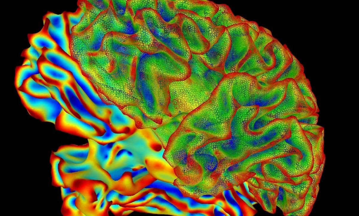 Iniziativa BRAIN: verso la comprensione del cervello umano - Credits: Harvard University