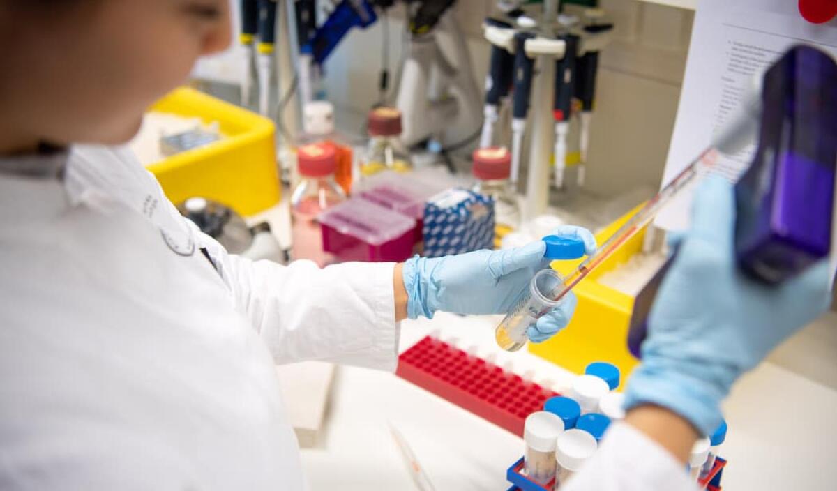 Russia: violenta esplosione in laboratorio contentente i virus di Antrace, Ebola e Vaiolo - Immagine virus.

Crediti: www.wired.it