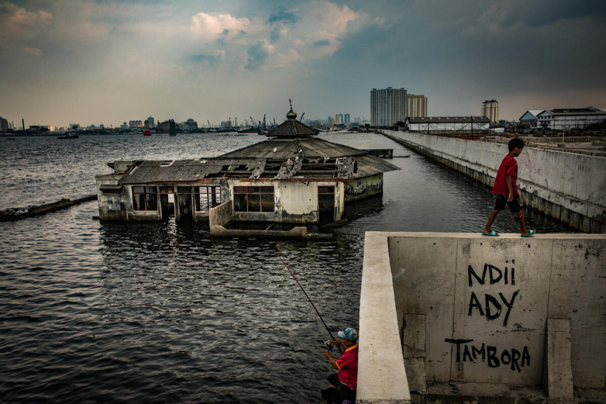 Jakarta sprofonda, l'Indonesia trasferirà la capitale sull'isola del Borneo - 