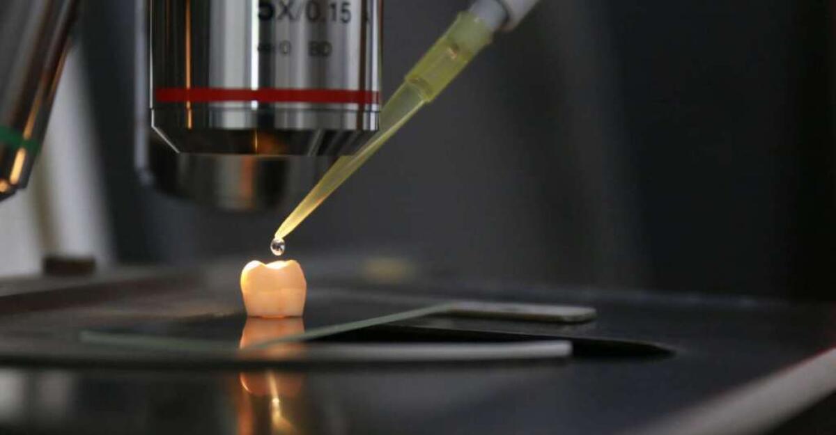 Un gel per rigenerare lo smalto dentale - gel rigenera smalto denti dentina dentisti odontoiatria microscopio
credits: intelligentliving.co