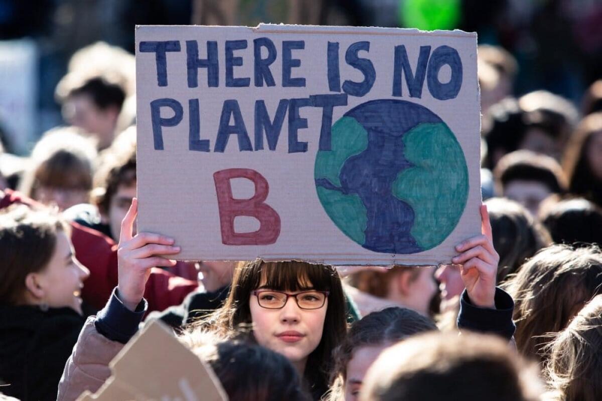 Sciopero del clima: le cifre dei cortei promossi da Greta Thunberg - Sciopero clima, crediti: Twitter/@davigon2