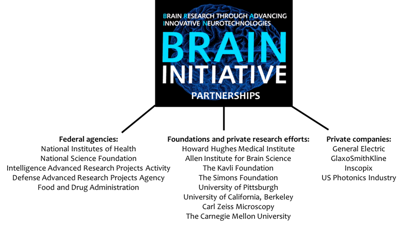 Partners dell'iniziativa BRAIN. Credits: The Kavli Foundation