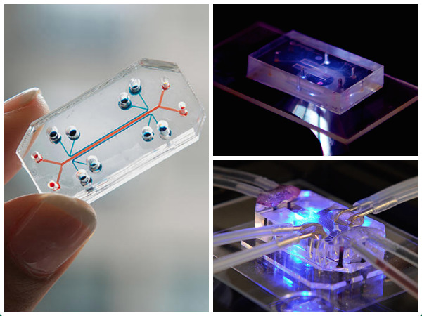 Images: National Center for Advancing Translational Sciences