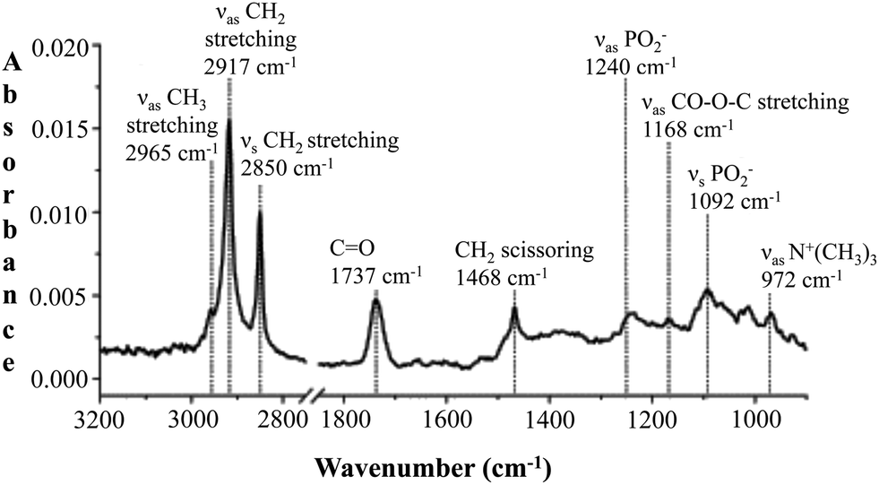 Spettroscopia, chimica, analitica, organica, raggi infrarossi, vibrazione. Interazione, onde elettromagnetiche, materia, assorbimento, spettro, bande, lunghezza d’onda, ampiezza Energy Close-up Engineering