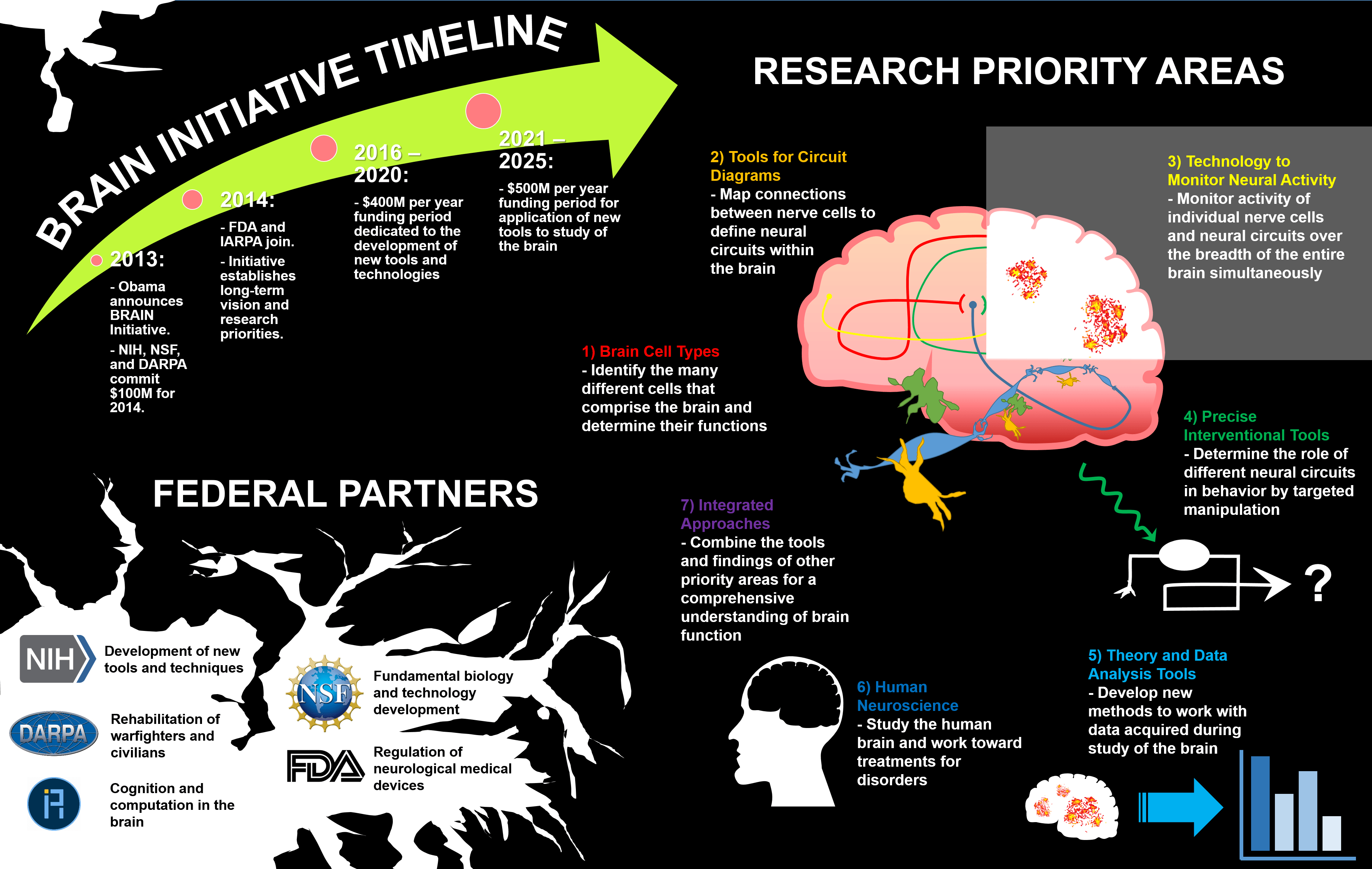 Obiettivi per anno dell'iniziativa BRAIN. Credits: Harvard University
