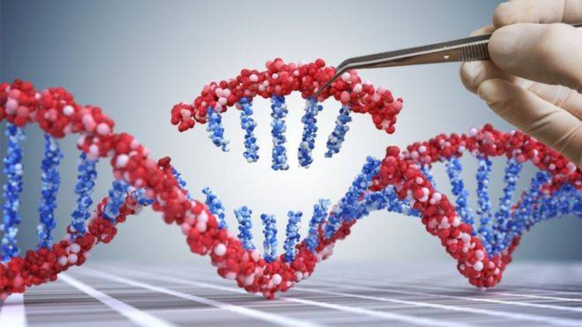 Prime editing: una nuova tecnica per correggere gli errori genetici che causano malattie - Prime editing: una nuova tecnica per correggere gli errori genetici che causano malattie
Credits: GETTY IMAGES