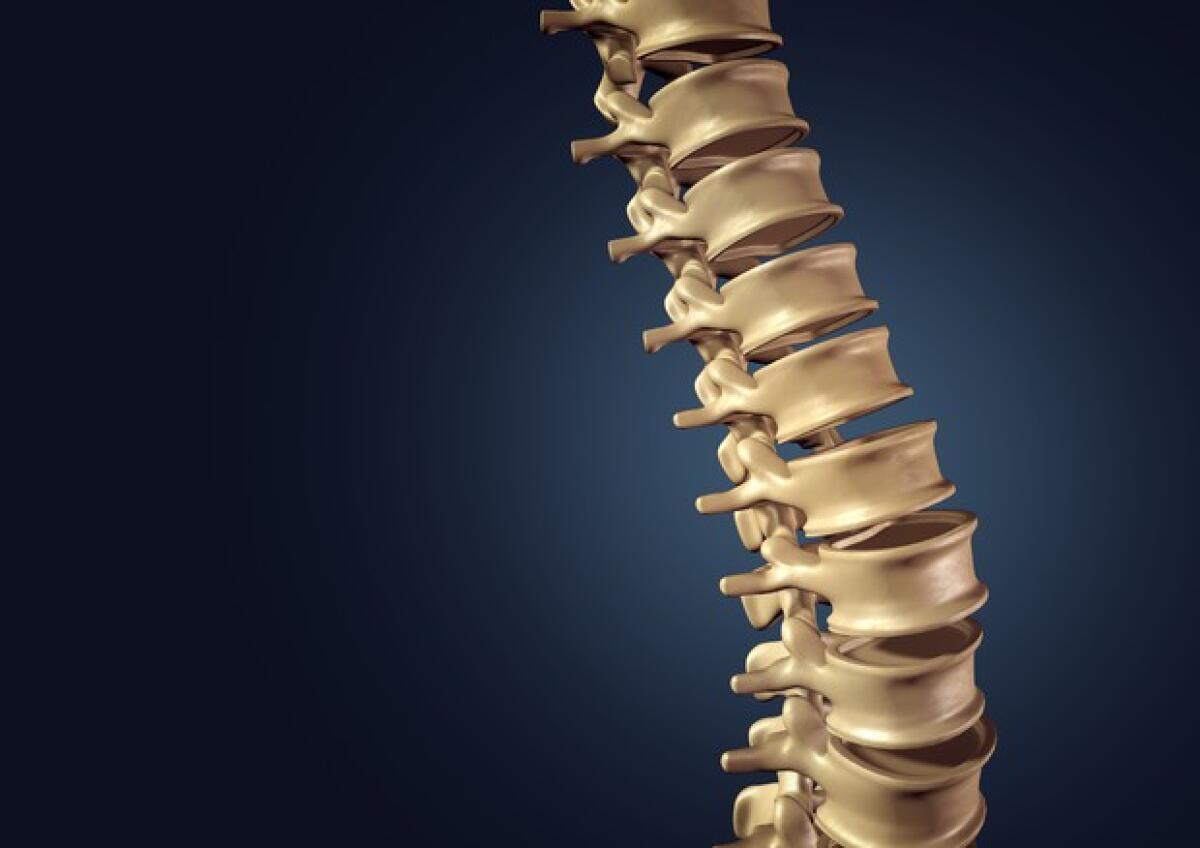 Eseguito al Rizzoli il primo trapianto al mondo di vertebre umane - ansa.it