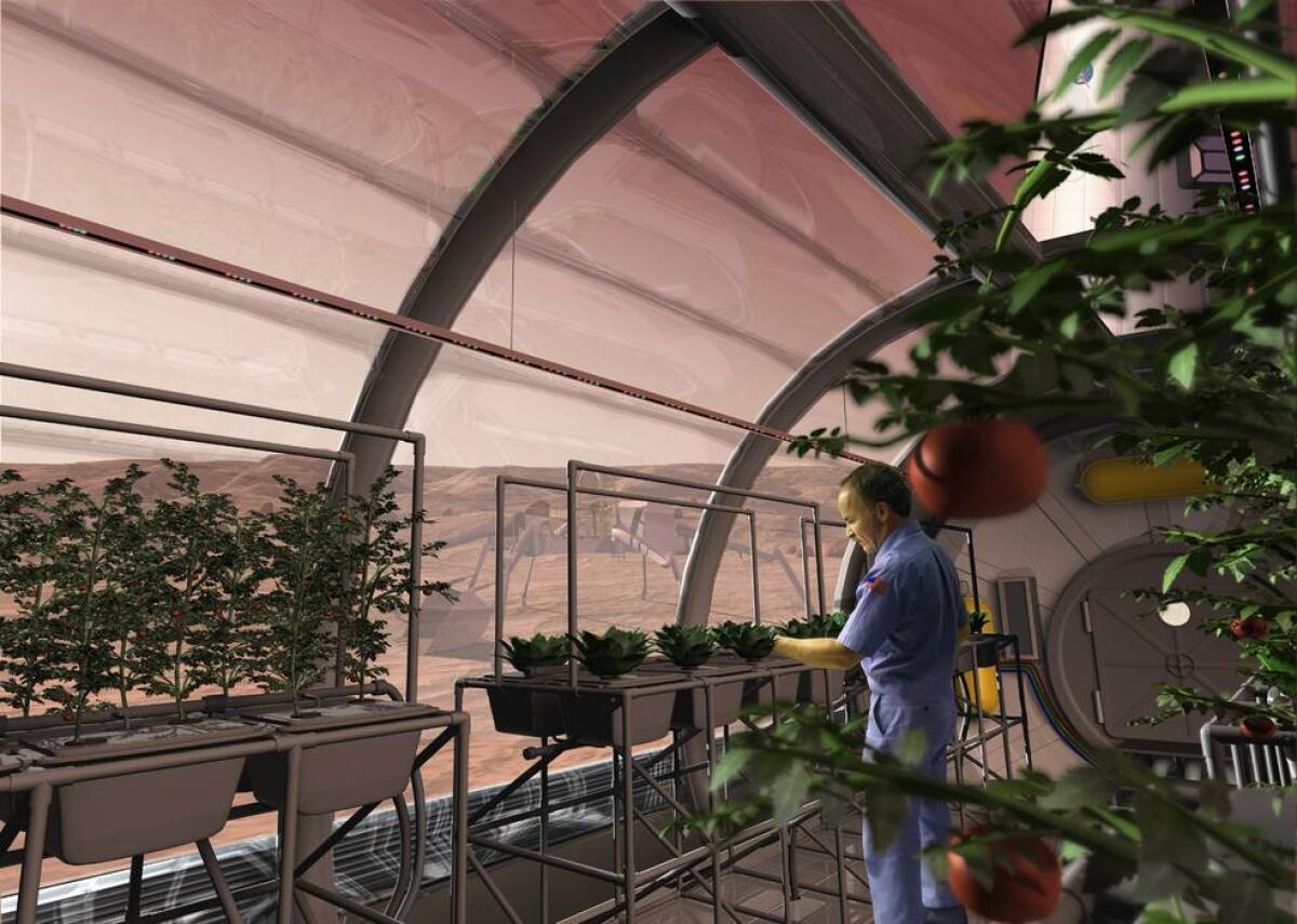 La coltivazione di piante nello spazio è una realtà: a Portici il primo laboratorio per ortaggi spaziali - Rendering di un artista per rappresentare la coltivazione delle piante nello spazio (Marte).

Crediti: SAIC
