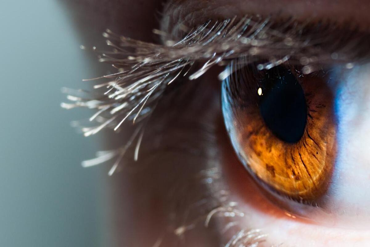 Per la prima volta la cornea è stata riparata con cellule staminali - Per la prima volta la cornea è stata riparata con cellule staminali
Credits: MedicalNewsToday