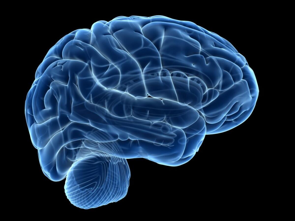 BCI non invasiva permette di comandare un braccio robotico con la mente - Credits: GettyImage