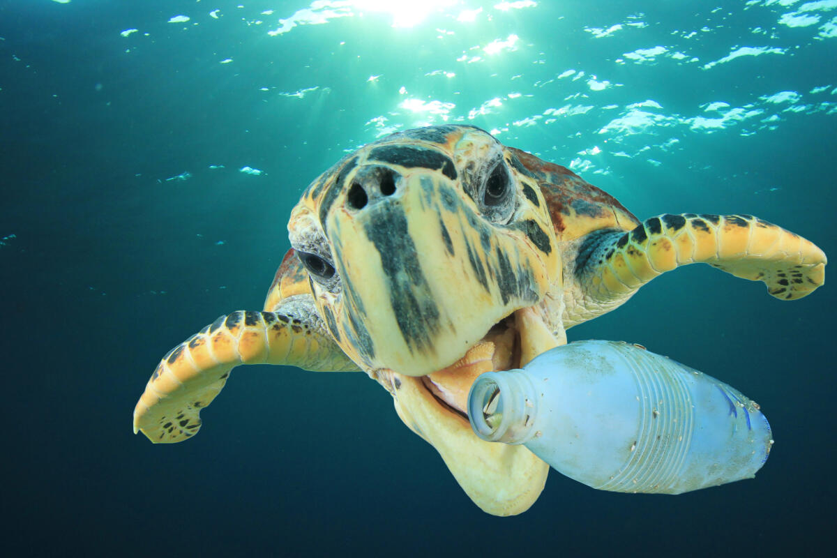 La nostra eredità alle generazioni future: la Plastic Age - changes.unipol.it
