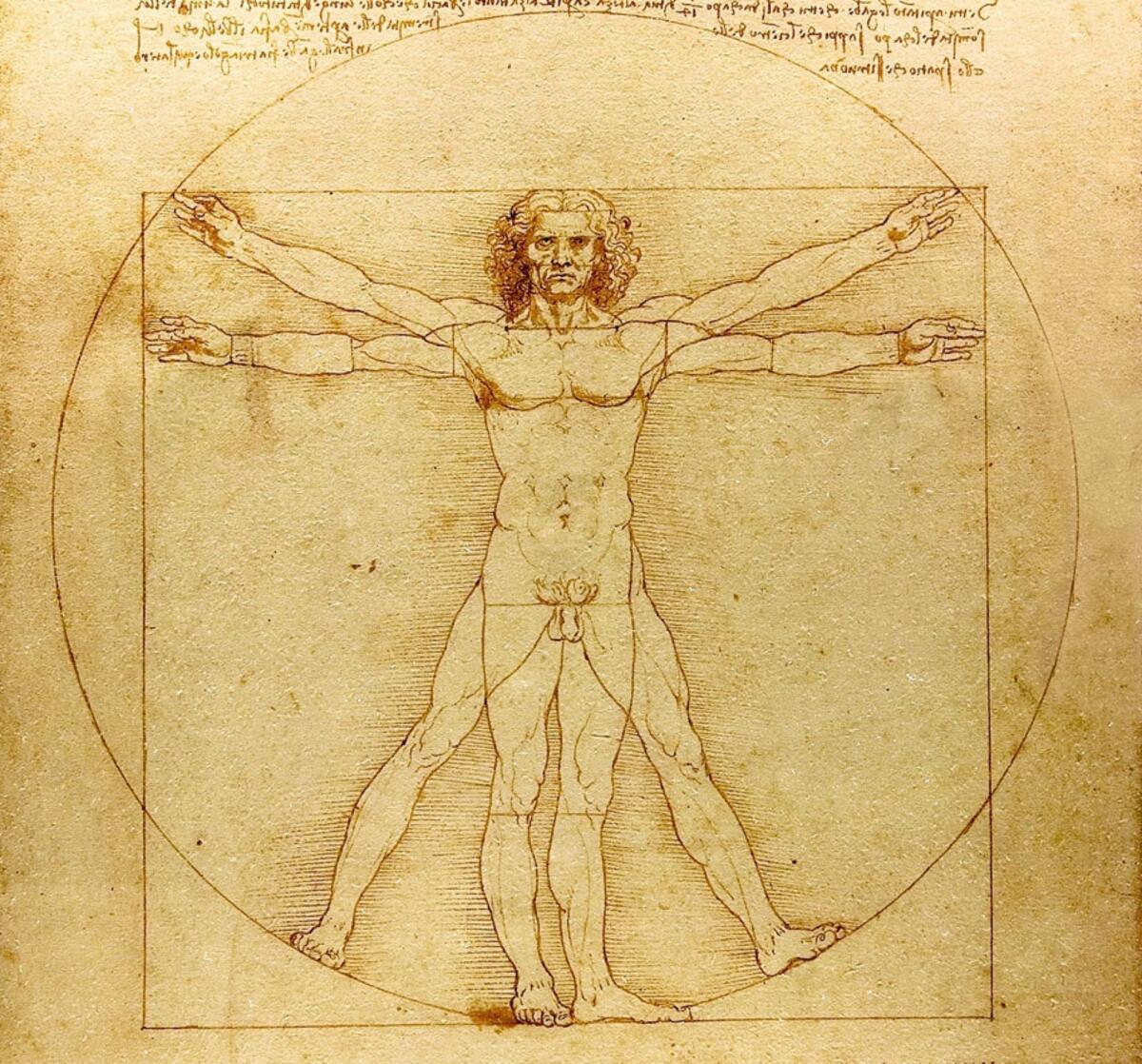 L'Uomo Vitruviano resta in Italia: Tar sospende prestito al Louvre - Uomo Vitruviano di Leonardo da Vinci