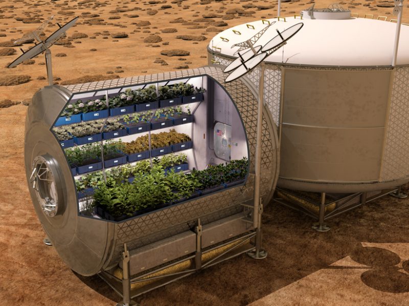 Ricostruzione di un possibile laboratorio di coltivazione di piante nello spazio (Marte).Crediti: NASA