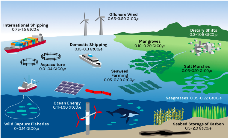 Climate change, oceano, eolico, solare, trasporti, gas serra, soluzioni, ecosistemi marini, trasporti, dieta, accumulo di anidride carbonica, Energy Close-up Engineering
