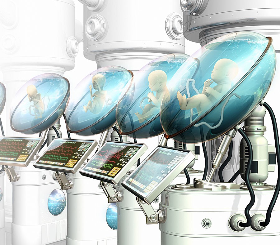 Il progetto olandese dell'utero artificialecredits: medium.com