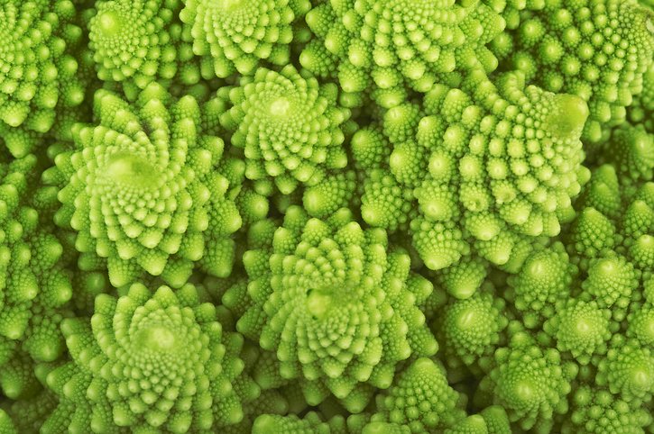 Un esempio di modello frattale in natura: il broccolo romanesco (Brassica oleracea). Crediti: Photopips/iStock
