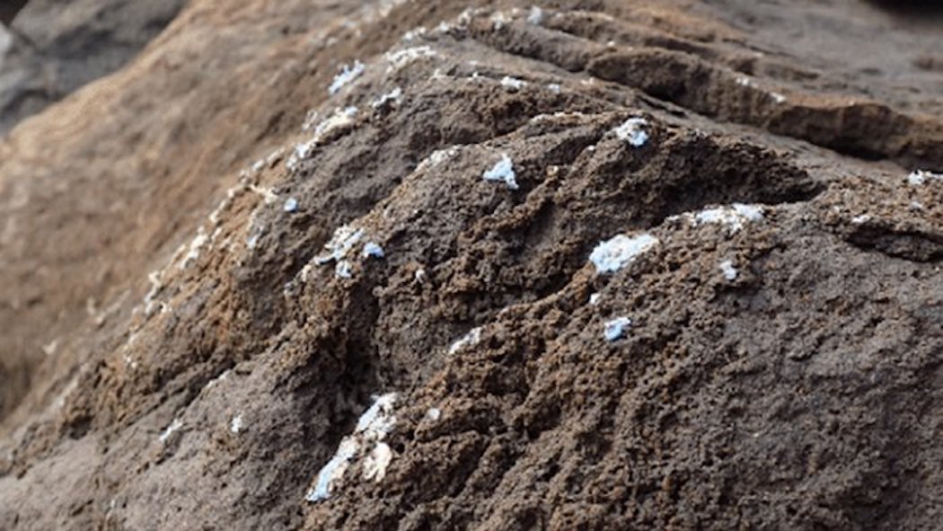 Plastica, microplastica, plastiche, microplastiche, plastic age, plasticrust, rifiuti, fossili, scorie, nucleari, oceani, natura, ambiente, dinosauri, sedimenti, Energy Close-up Engineering.