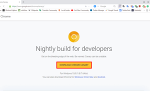 Google Canary Nightly Build