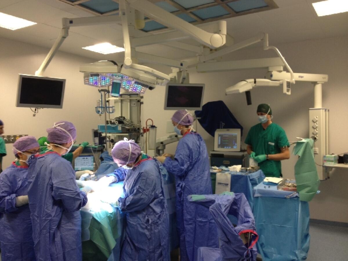 Cesena: paziente suona il piano mentre viene operato al cervello - Intervento record a Cesena dove un paziente sveglio suonava il piano mentre veniva operato al cervello.
credits: versiliatoday.it