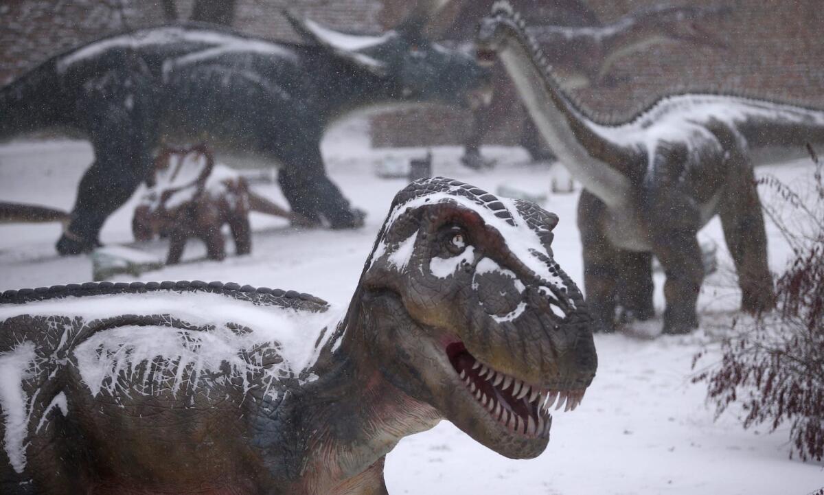 Dinosauri: vivevano nella parte opposta della galassia - Credits: it.businessinsider.com
